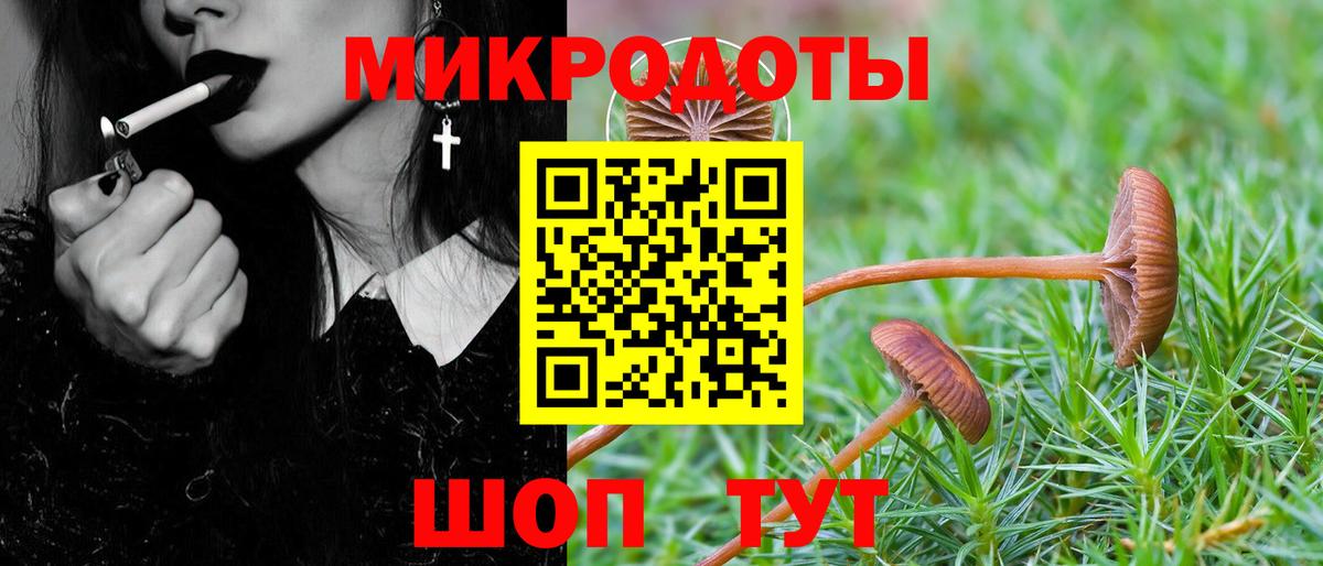 Рыбинск  Псилоцибиновые грибы MAGIC MUSHROOMS  Псилоцибиновые грибы ЛСД  Вход с VPN 